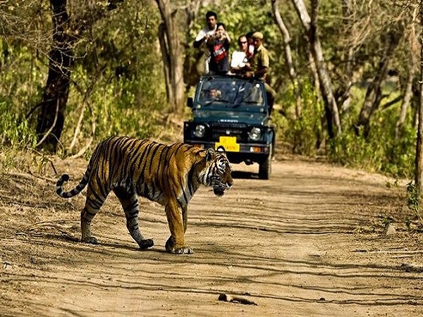 Orchha - Panna National Park - Agra